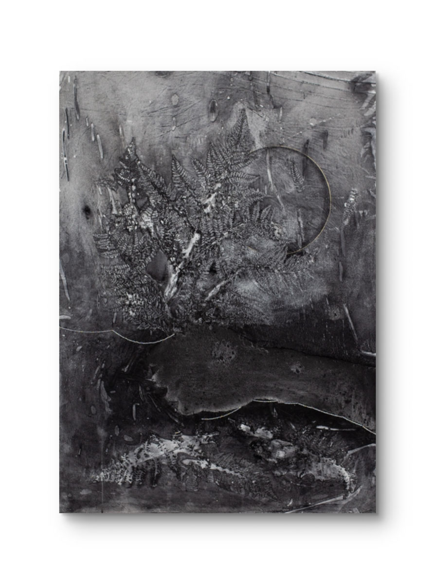 Obraz z cyklu Seeds, Barbara Krupa, trauma i cielesność w sztuce. Dolny Śląsk - Izery- Łużyce- Lubań - Bolesławiec