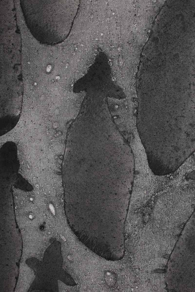 Obraz z cyklu Seeds, Barbara Krupa, trauma i cielesność w sztuce. Dolny Śląsk - Izery- Łużyce- Lubań - Bolesławiec