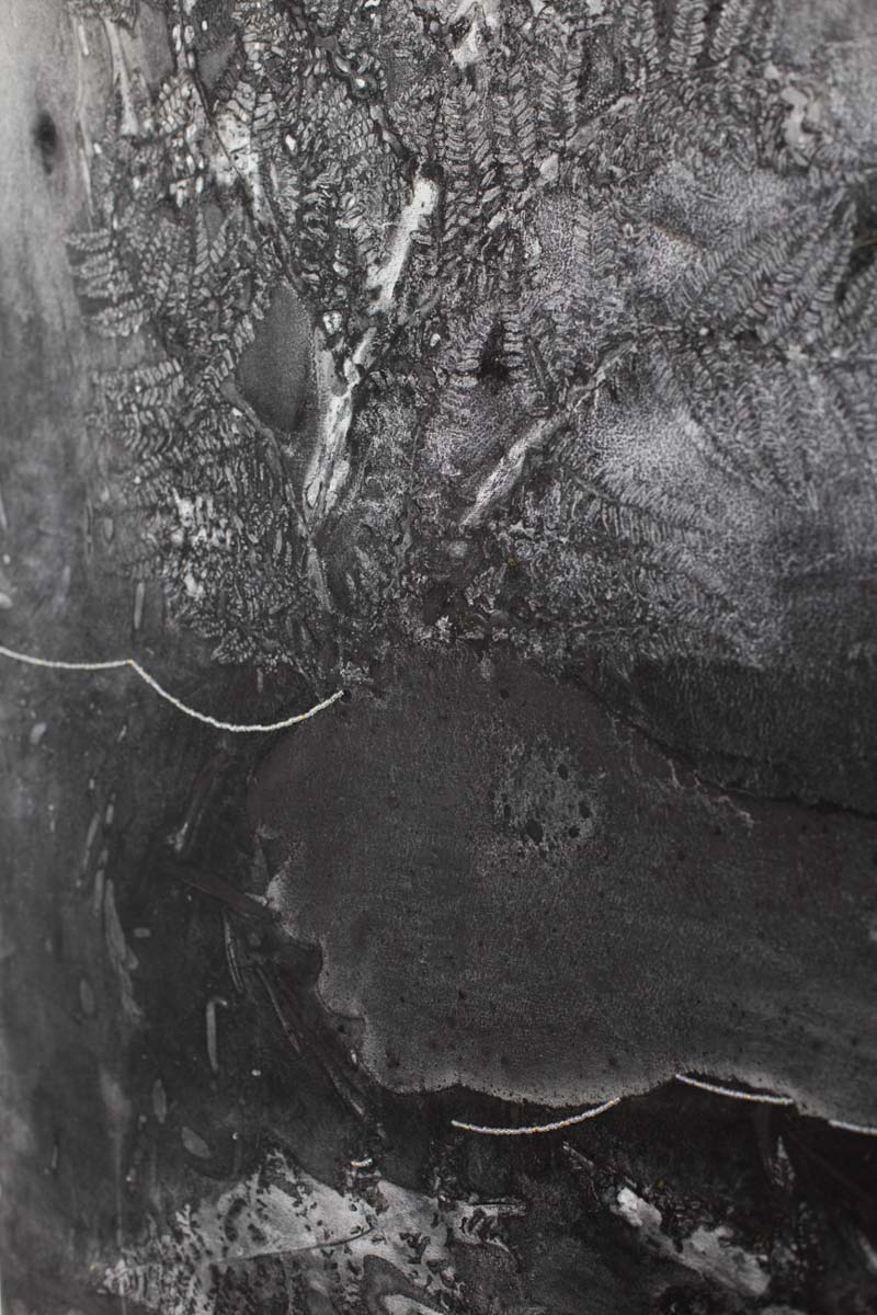 Obraz z cyklu Seeds, Barbara Krupa, trauma i cielesność w sztuce. Dolny Śląsk - Izery- Łużyce- Lubań - Bolesławiec