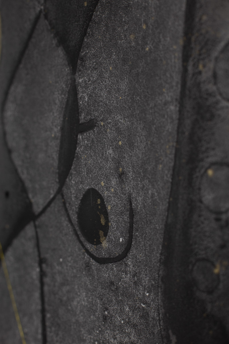 Obraz z cyklu Seeds, Barbara Krupa, trauma i cielesność w sztuce. Dolny Śląsk - Izery- Łużyce- Lubań - Bolesławiec