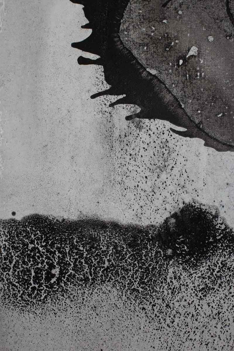 Obraz z cyklu Seeds, Barbara Krupa, trauma i cielesność w sztuce. Dolny Śląsk - Izery- Łużyce- Lubań - Bolesławiec