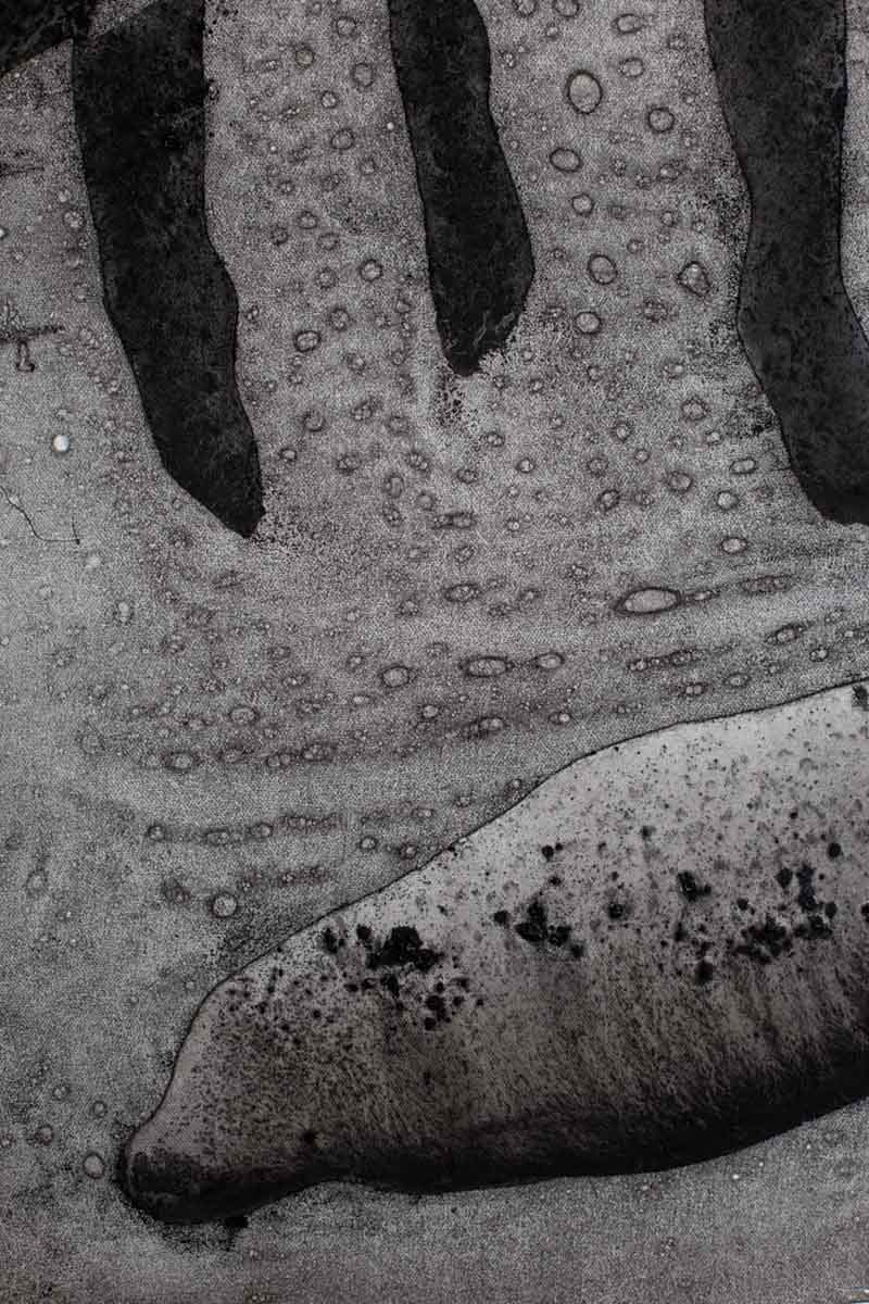 Obraz z cyklu Seeds, Barbara Krupa, trauma i cielesność w sztuce. Dolny Śląsk - Izery- Łużyce- Lubań - Bolesławiec